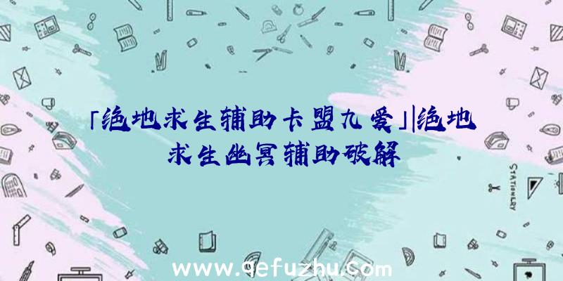 「绝地求生辅助卡盟九爱」|绝地求生幽冥辅助破解